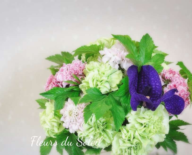 母の日月間/パリスタイル カーネーションのブーケ