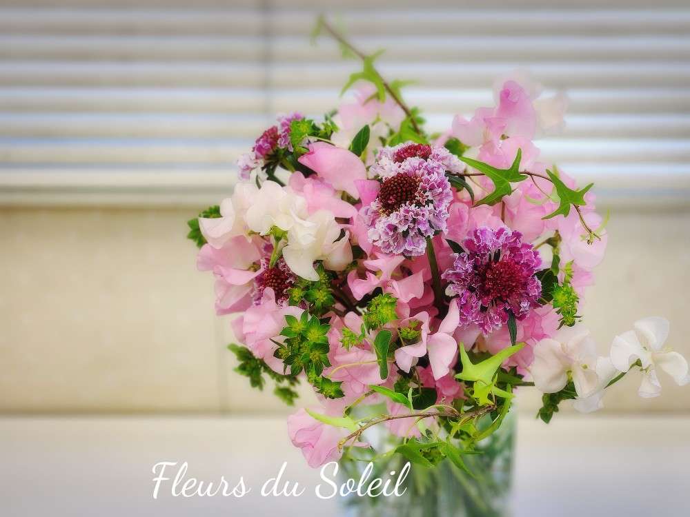 セゾンコースも♪1月はスイトピー祭り